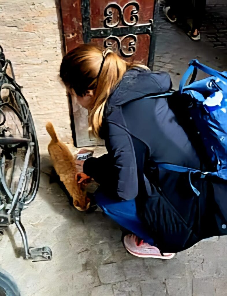 Frau von hinten, die in Marrakesch eine rote Katze mit Leckerchen füttert