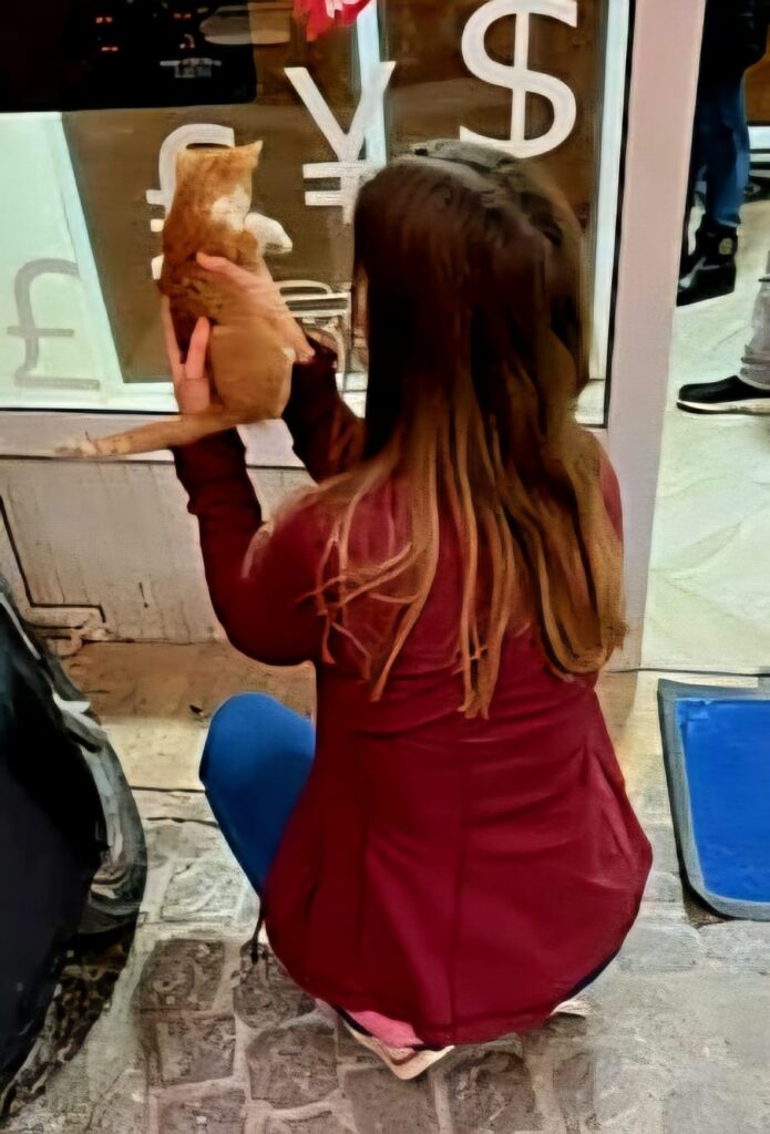 Frau in Marrakesch, die ein kleines Kätzchen hochhält, Reisebericht Marrakesch