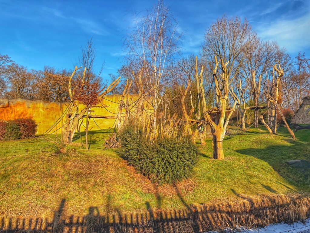 Außengehege im Pongoland des Zoo Leipzig mit vielen Kletterstrukturen, umgeben von Wasser
