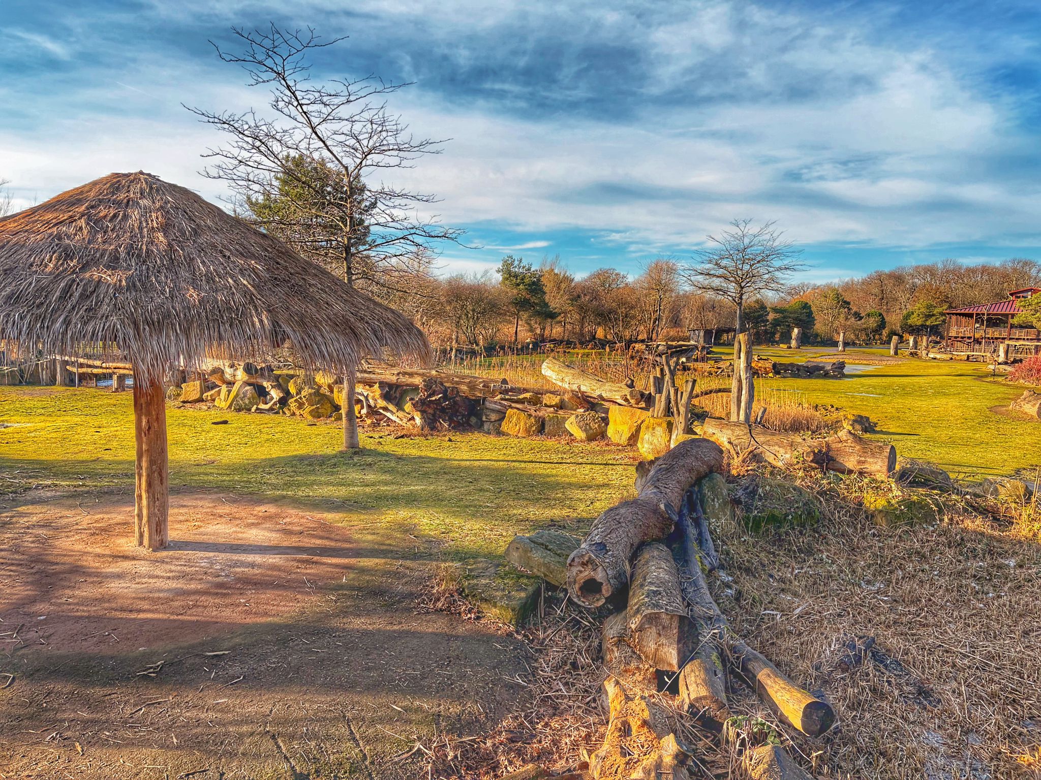 Savannengehege im Zoo Leipzig mit Baumstämmen und Unterstand mit Strohdach